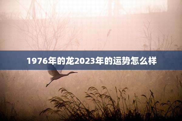 1976年的龙2023年的运势怎么样