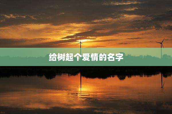 给树起个爱情的名字