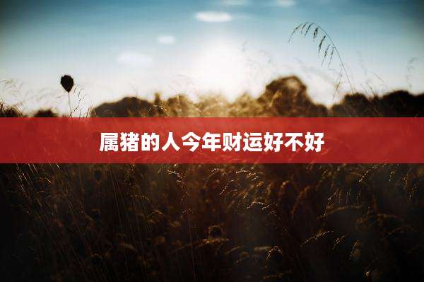 属猪的人今年财运好不好
