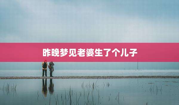 昨晚梦见老婆生了个儿子