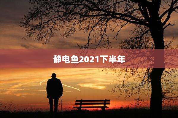 静电鱼2021下半年