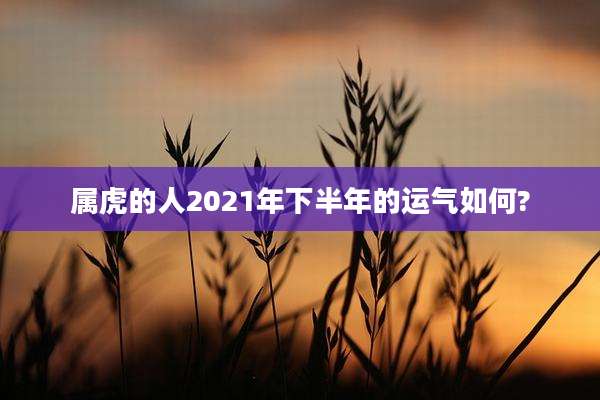 属虎的人2021年下半年的运气如何?