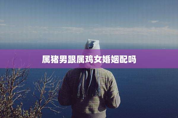 属猪男跟属鸡女婚姻配吗