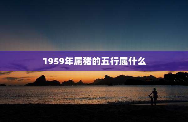 1959年属猪的五行属什么