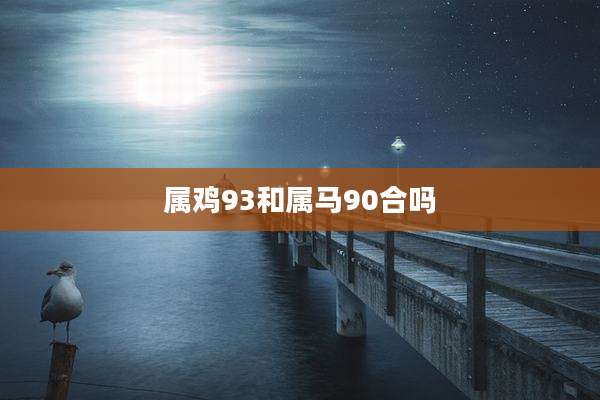 属鸡93和属马90合吗