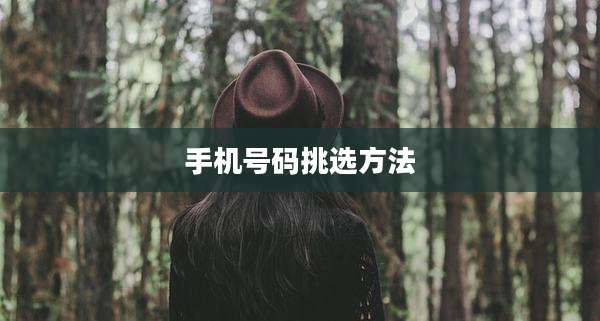 手机号码挑选方法