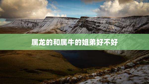 属龙的和属牛的姐弟好不好