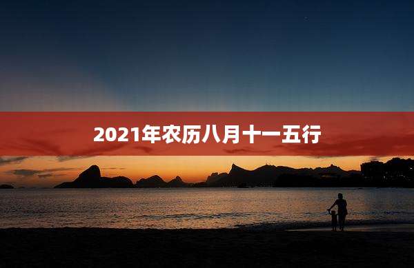 2021年农历八月十一五行