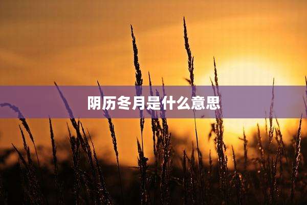 阴历冬月是什么意思