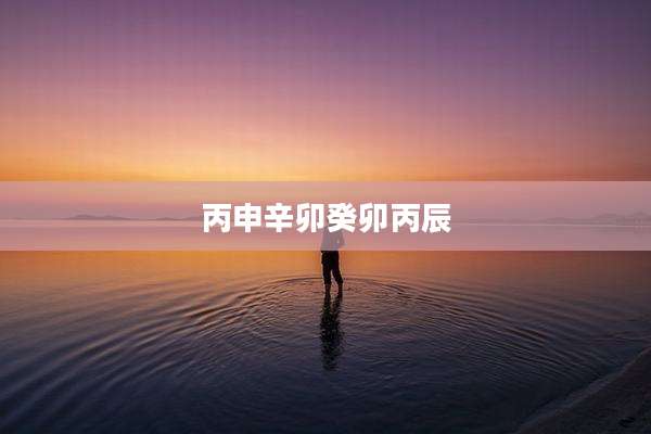 丙申辛卯癸卯丙辰