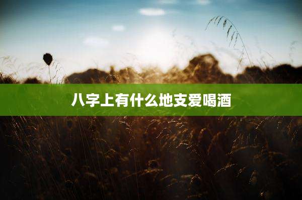 八字上有什么地支爱喝酒