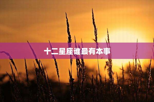 十二星座谁最有本事