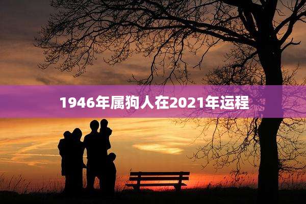 1946年属狗人在2021年运程