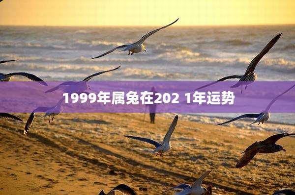 1999年属兔在202 1年运势