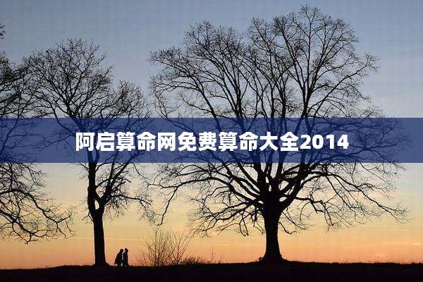 阿启算命网免费算命大全2014