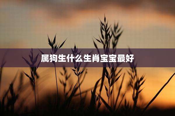 属狗生什么生肖宝宝最好