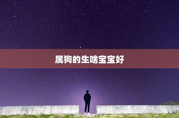 属狗的生啥宝宝好