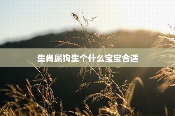 生肖属狗生个什么宝宝合适