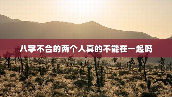 八字不合的两个人真的不能在一起吗