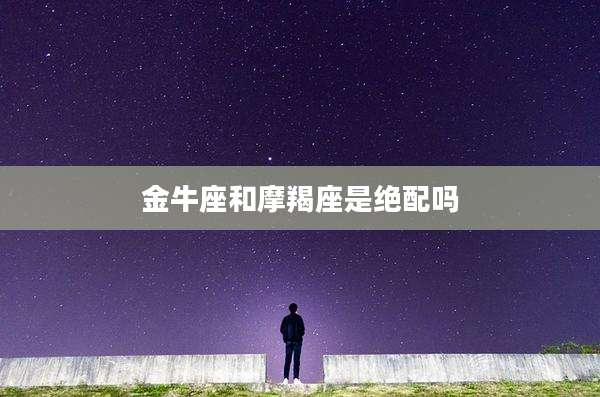 金牛座和摩羯座是绝配吗