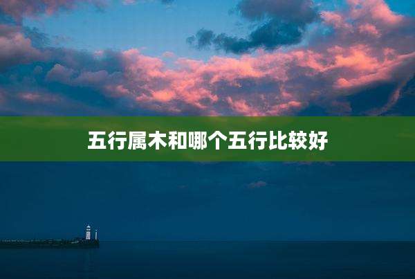 五行属木和哪个五行比较好