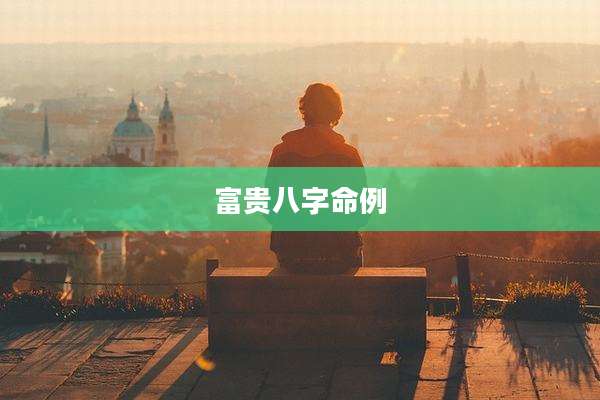 富贵八字命例