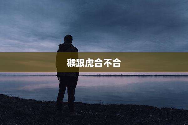 猴跟虎合不合