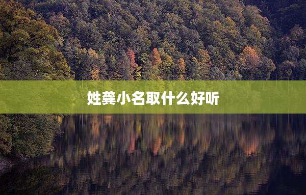姓龚小名取什么好听