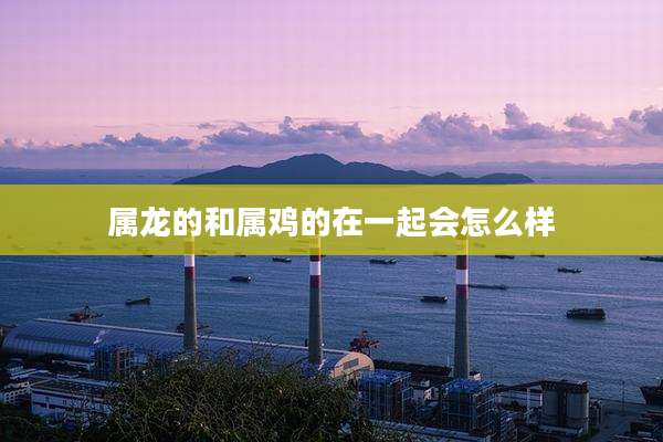 属龙的和属鸡的在一起会怎么样