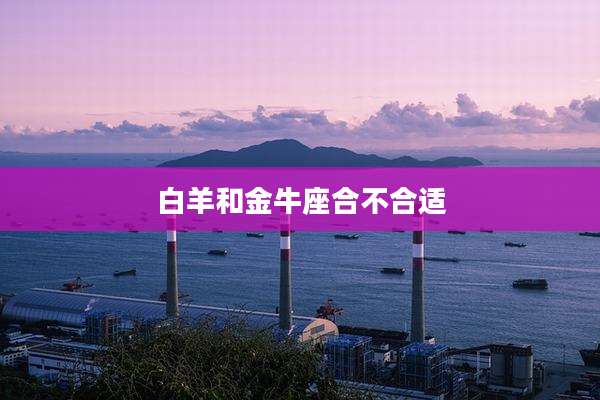 白羊和金牛座合不合适