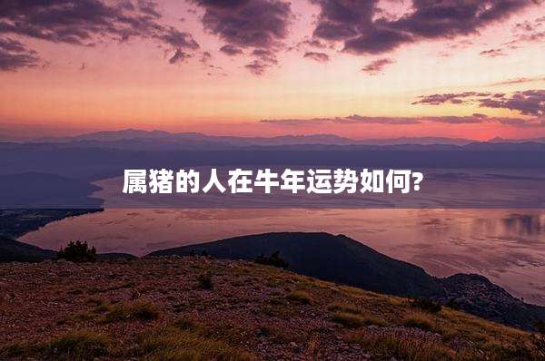 属猪的人在牛年运势如何?