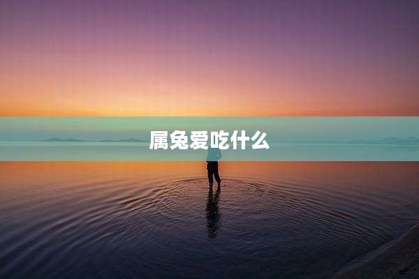 属兔爱吃什么