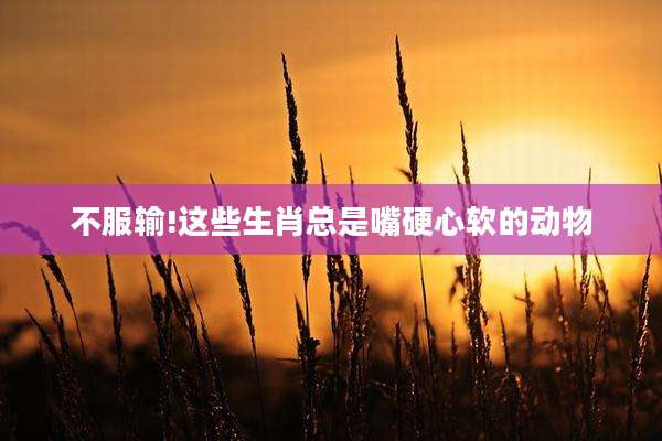 不服输!这些生肖总是嘴硬心软的动物
