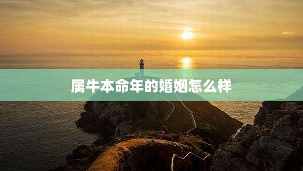 属牛本命年的婚姻怎么样