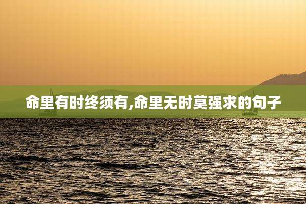 命里有时终须有,命里无时莫强求的句子