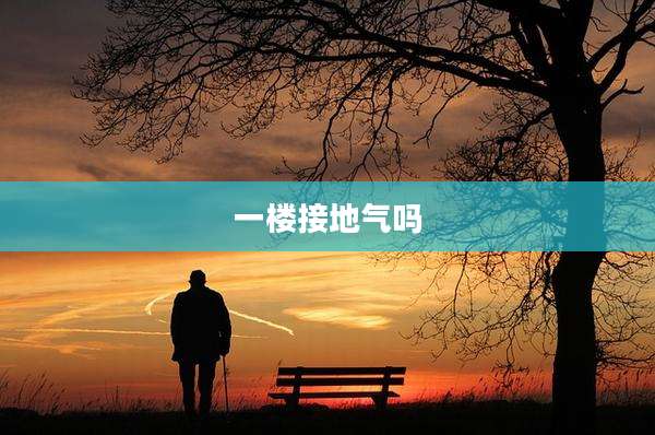 一楼接地气吗