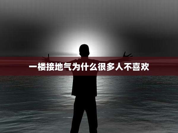 一楼接地气为什么很多人不喜欢