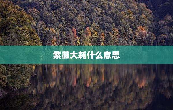 紫薇大耗什么意思