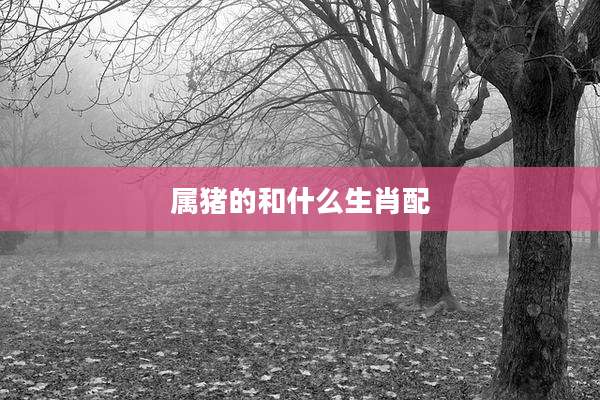 属猪的和什么生肖配