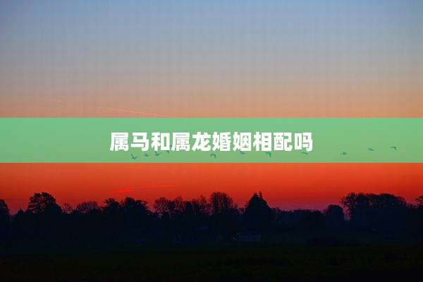 属马和属龙婚姻相配吗