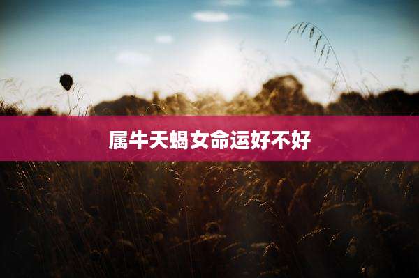 属牛天蝎女命运好不好