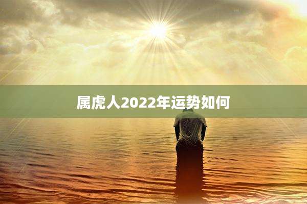 属虎人2022年运势如何