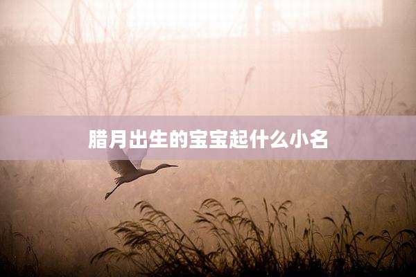 腊月出生的宝宝起什么小名