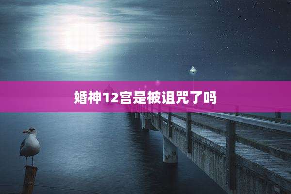 婚神12宫是被诅咒了吗