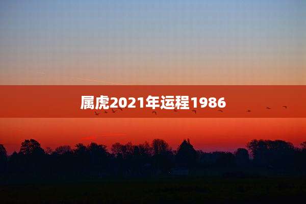 属虎2021年运程1986