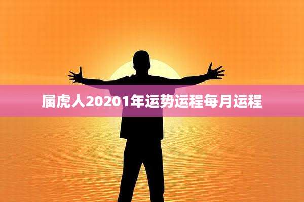 属虎人20201年运势运程每月运程