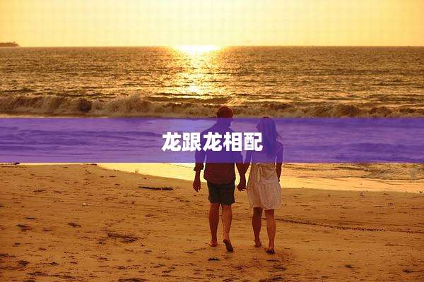 龙跟龙相配