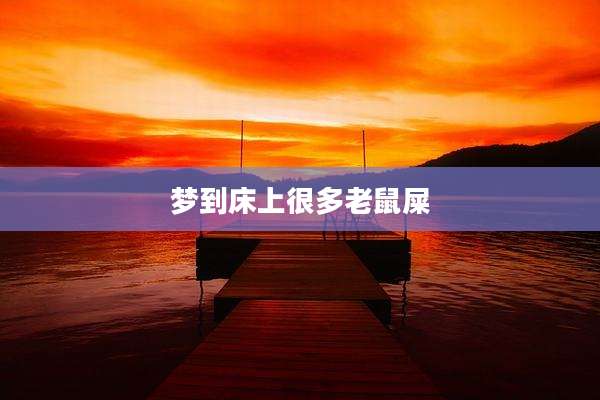 梦到床上很多老鼠屎