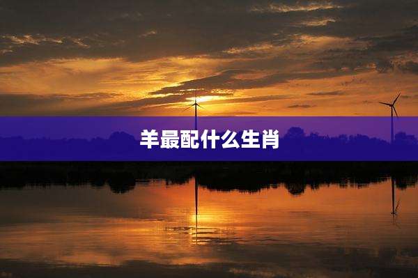 羊最配什么生肖