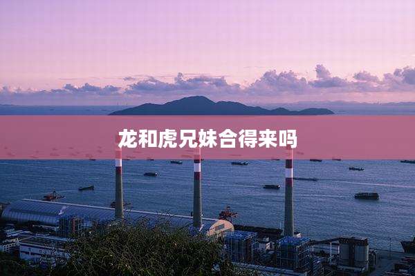 龙和虎兄妹合得来吗